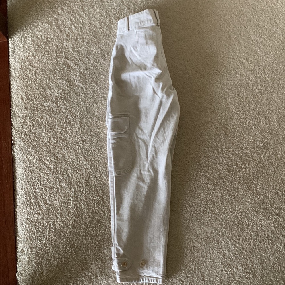 Wilfred Aritzia Cargo Pants Gem
